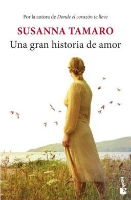 UNA GRAN HISTORIA DE AMOR