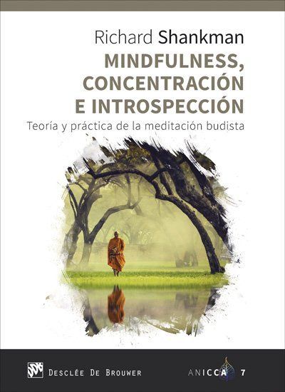 MINDFULNESS, CONCENTRACION E INTROSPECCION - TEORI