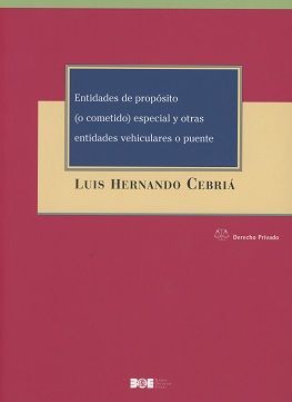 ENTIDADES DE PROPÓSITO (O COMETIDO) ESPECIAL Y OTRAS ENTIDADES VEHICULARES O PUENTE