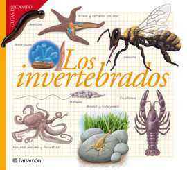 LOS INVERTEBRADOS