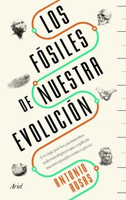 LOS FÓSILES DE NUESTRA EVOLUCIÓN