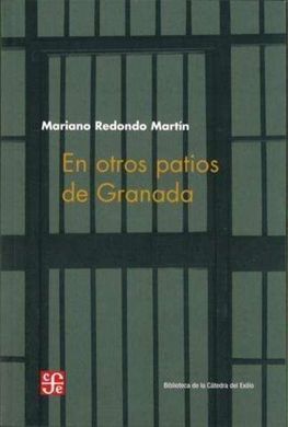 EN OTROS PATIOS DE GRANADA