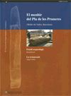 EL MENHIR DEL PLA DE LES PRUNERES
