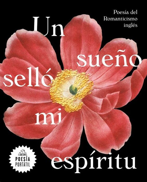 UN SUEÑO SELLÓ MI ESPÍRITU