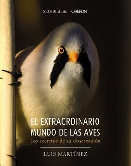 EXTRAORDINARIO MUNDO DE LAS AVES