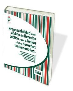 RESPONSABILIDAD EN EL ÁMBITO DEL DERECHO PÚBLICO Y POR LA LESIÓN DE LOS DERECHOS FUNDAMENTALES