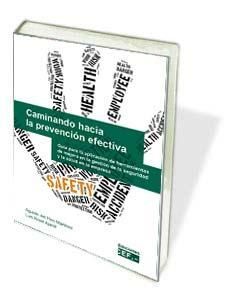 CAMINANDO HACIA LA PREVENCIÓN EFECTIVA