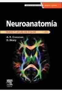 NEUROANATOMIA