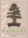 LOS SECRETOS DEL BONSÁI