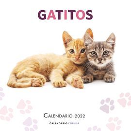 GATITOS 2022