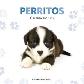 PERRITOS 2022