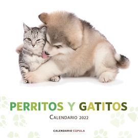 GATITOS Y PERRITOS 2022