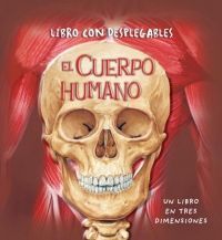 EL CUERPO HUMANO