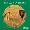 EL LLEÓ I LA LLEONA