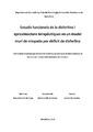ESTUDIS FUNCIONALS DE LA DISFERLINA I APROXIMACIONS TERAPÈUTIQUES EN UN MODEL MU