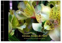 GIRONA TEMPS DE FLORS 2015