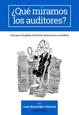 ¿QUÉ MIRAMOS LOS AUDITORES?