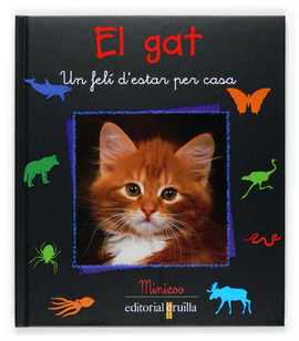 EL GAT UN FELÍ D'ESTAR PER CASA