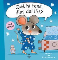 QUÈ HI TENS, DINS DEL LLIT