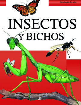 INSECTOS Y BICHOS