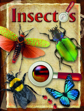 INSECTOS LIBROS ZOOM