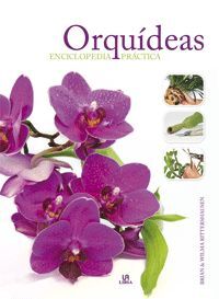 ORQUÍDEAS