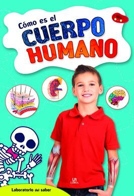 CÓMO ES EL CUERPO HUMANO