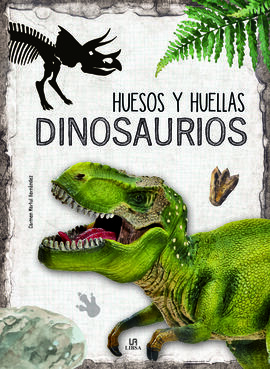 HUESOS Y HUELLAS - DINOSAURIOS