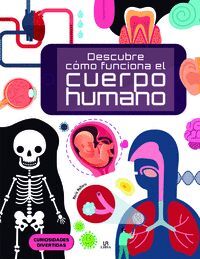 DESCUBRE COMO FUNCIONA EL CUERPO HUMANO