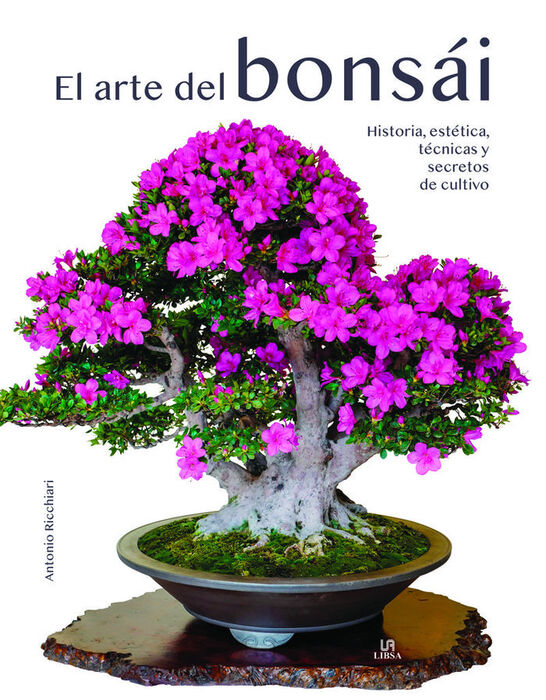 EL ARTE DEL BONSÁI