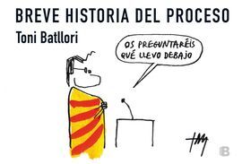 BREVE HISTORIA DEL PROCESO