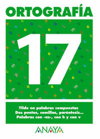 ORTOGRAFIA 17