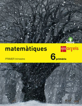 MATEMÃTIQUES - 6Âº ED. PRIM. (SABA)