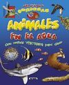 VENTANAS CURIOSAS. ANIMALES EN EL AGUA