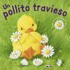 UN POLLITO TRAVIESO