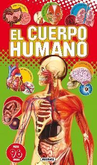 EL CUERPO HUMANO