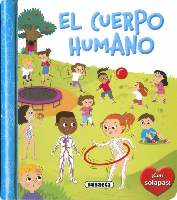 PEQUEÑOS CURIOSOS : EL CUERPO HUMANO