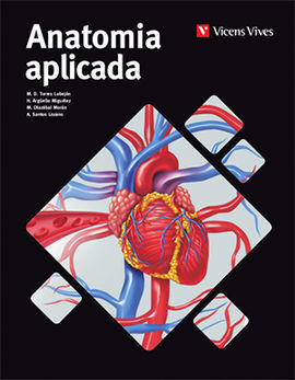 ANATOMIA APLICADA (1ER BATXILLERAT) AULA 3D