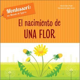 EL NACIMIENTO DE UNA FLOR (VVKIDS)