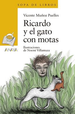 RICARDO Y GATO MOTAS