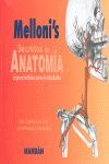 SECRETO DE ANATOMIA (ESTUDIO)