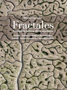 FRACTALES. ANATOMÍA ÍNTIMA DE LA DE LA MARISMA