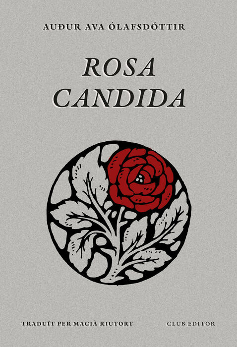 ROSA CANDIDA