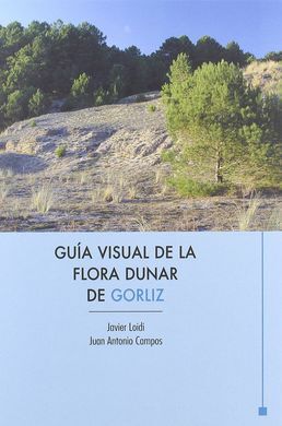 BIZKAIKO HIRIBILDUETAN ZEHAR = UN PASEO POR LAS VILLAS
