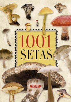 1001 SETAS