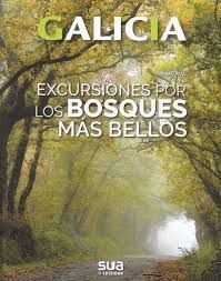 EXCURSIONES A LOS BOSQUES MÁS BELLOS DE GALICIA