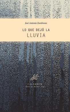 LOS QUE DEJO LA LLUVIA