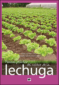 MANUAL PRACTICO DEL CULTIVO DE LA LECHUGA