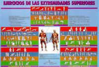 EJERCICIOS DE LAS EXTREMIDADES SUPERIORES.