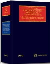 EL PROCESO DE EJECUCIÓN FORZOSA